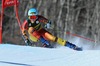 Marie-Michele Gagnon of Canada in action during 1st run of ladies Giant Slalom of FIS Ski Alpine Worldcup at the Aspen Mountain Course in Aspen, United States on 2014/11/29. 
