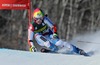 Dominique Gisin of Switzerland in action during 1st run of ladies Giant Slalom of FIS Ski Alpine Worldcup at the Aspen Mountain Course in Aspen, United States on 2014/11/29. 
