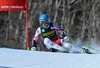 Elisabeth Goergl of Austria in action during 1st run of ladies Giant Slalom of FIS Ski Alpine Worldcup at the Aspen Mountain Course in Aspen, United States on 2014/11/29. 
