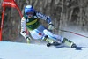 Sara Hector of Sweden in action during 1st run of ladies Giant Slalom of FIS Ski Alpine Worldcup at the Aspen Mountain Course in Aspen, United States on 2014/11/29. 
