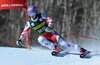 Michaela Kirchgasser of Austria in action during 1st run of ladies Giant Slalom of FIS Ski Alpine Worldcup at the Aspen Mountain Course in Aspen, United States on 2014/11/29. 
