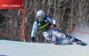 Viktoria Rebensburg of Germany in action during 1st run of ladies Giant Slalom of FIS Ski Alpine Worldcup at the Aspen Mountain Course in Aspen, United States on 2014/11/29. 
