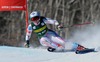 Tina Weirather of Lichtenstein in action during 1st run of ladies Giant Slalom of FIS Ski Alpine Worldcup at the Aspen Mountain Course in Aspen, United States on 2014/11/29. 
