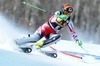 Nicole Hosp of Austria in action during 1st run of ladies Slalom of FIS Ski Alpine Worldcup at the Aspen Mountain Course in Aspen, Canada on 2014/11/30. 
