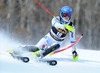 Emelie Wikstroem of Sweden in action during 1st run of ladies Slalom of FIS Ski Alpine Worldcup at the Aspen Mountain Course in Aspen, Canada on 2014/11/30. 
