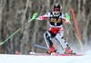 Kathrin Zettel of Austria in action during 1st run of ladies Slalom of FIS Ski Alpine Worldcup at the Aspen Mountain Course in Aspen, Canada on 2014/11/30. 
