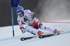 Benjamin Raich of Austria in actionduring the 1st run of men Giant Slalom of FIS Ski World Cup at the Birds of Prey Course in Beaver Creek, United States on 2014/12/07.
