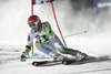 Zan Kranjec of Slovenia in action during 1st run the men Giant Slalom of FIS Ski World Cup at Olympia Course in Are, Sweden on 2014/12/12.
