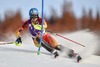 Erin Mielzynski of Canada in action during 1st run the women Slalom of FIS Ski World Cup at Olympia Course in Are, Sweden on 2014/12/13.

