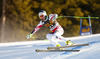 Fourth placed Vincent Kriechmayr of Austria skiing men super-g race of Audi FIS Alpine skiing World cup in Val Gardena, Italy. Men super-g race of Audi FIS Alpine skiing World cup season 2014-2015, was held on Saturday, 20th of December 2014 on famous Saslong course in Val Gardena, Italy.
