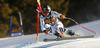 Klaus Brandner of Germany skiing men super-g race of Audi FIS Alpine skiing World cup in Val Gardena, Italy. Men super-g race of Audi FIS Alpine skiing World cup season 2014-2015, was held on Saturday, 20th of December 2014 on famous Saslong course in Val Gardena, Italy.
