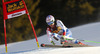 Thomas Tumler of Switzerland skiing men super-g race of Audi FIS Alpine skiing World cup in Val Gardena, Italy. Men super-g race of Audi FIS Alpine skiing World cup season 2014-2015, was held on Saturday, 20th of December 2014 on famous Saslong course in Val Gardena, Italy.

