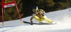 Bjoernar Neteland of Norway skiing men super-g race of Audi FIS Alpine skiing World cup in Val Gardena, Italy. Men super-g race of Audi FIS Alpine skiing World cup season 2014-2015, was held on Saturday, 20th of December 2014 on famous Saslong course in Val Gardena, Italy.
