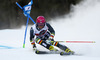 Marcus Sandell of Finland skiing in the first run of the men giant slalom race of Audi FIS Alpine skiing World cup in Alta Badia, Italy. Men giant slalom race of Audi FIS Alpine skiing World cup season 2014-2015, was held on Sunday, 21st of December 2014 on Gran Risa course in Alta Badia, Italy.
