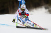 Gino Caviezel of Switzerland skiing in the first run of the men giant slalom race of Audi FIS Alpine skiing World cup in Alta Badia, Italy. Men giant slalom race of Audi FIS Alpine skiing World cup season 2014-2015, was held on Sunday, 21st of December 2014 on Gran Risa course in Alta Badia, Italy.
