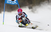Samu Torsti of Finland skiing in the first run of the men giant slalom race of Audi FIS Alpine skiing World cup in Alta Badia, Italy. Men giant slalom race of Audi FIS Alpine skiing World cup season 2014-2015, was held on Sunday, 21st of December 2014 on Gran Risa course in Alta Badia, Italy.
