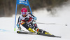Samu Torsti of Finland skiing in the first run of the men giant slalom race of Audi FIS Alpine skiing World cup in Alta Badia, Italy. Men giant slalom race of Audi FIS Alpine skiing World cup season 2014-2015, was held on Sunday, 21st of December 2014 on Gran Risa course in Alta Badia, Italy.
