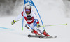 Manuel Pleisch of Switzerland skiing in the first run of the men giant slalom race of Audi FIS Alpine skiing World cup in Alta Badia, Italy. Men giant slalom race of Audi FIS Alpine skiing World cup season 2014-2015, was held on Sunday, 21st of December 2014 on Gran Risa course in Alta Badia, Italy.
