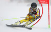 Rasmus Windingstad of Norway skiing in the first run of the men giant slalom race of Audi FIS Alpine skiing World cup in Alta Badia, Italy. Men giant slalom race of Audi FIS Alpine skiing World cup season 2014-2015, was held on Sunday, 21st of December 2014 on Gran Risa course in Alta Badia, Italy.
