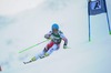 Elisabeth Goergl of Austria in action during 1st run of Ladies Giant Slalom of the Kuehtai FIS Ski Alpine World Cup at the Hohe Mut Course in Kuehtai, Austria on 2014/12/28.
