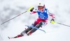 Julia Dygruber of Austria in action during 1st run of Ladies Slalom of the Kuehtai FIS Ski Alpine World Cup at the Hohe Mut Course in Kuehtai, Austria on 2014/12/29.
