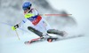 Frida Hansdotter of Sweden in action during 1st run of Ladies Slalom of the Kuehtai FIS Ski Alpine World Cup at the Hohe Mut Course in Kuehtai, Austria on 2014/12/29.
