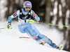 Tina Maze of Slovenia skiing in the first run of the women slalom race of Audi FIS Alpine skiing World cup on Sljeme above Zagreb, Croatia. Women Snow Queen Trophy slalom race of Audi FIS Alpine skiing World cup season 2014-2015, was held on Sunday, 4th of January 2015 on Sljeme above Zagreb, Croatia.
