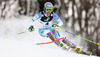 Sarka Strachova of Czech skiing in the first run of the women slalom race of Audi FIS Alpine skiing World cup on Sljeme above Zagreb, Croatia. Women Snow Queen Trophy slalom race of Audi FIS Alpine skiing World cup season 2014-2015, was held on Sunday, 4th of January 2015 on Sljeme above Zagreb, Croatia.
