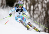 Sarka Strachova of Czech skiing in the first run of the women slalom race of Audi FIS Alpine skiing World cup on Sljeme above Zagreb, Croatia. Women Snow Queen Trophy slalom race of Audi FIS Alpine skiing World cup season 2014-2015, was held on Sunday, 4th of January 2015 on Sljeme above Zagreb, Croatia.
