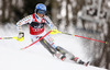 Frida Hansdotter of Sweden skiing in the first run of the women slalom race of Audi FIS Alpine skiing World cup on Sljeme above Zagreb, Croatia. Women Snow Queen Trophy slalom race of Audi FIS Alpine skiing World cup season 2014-2015, was held on Sunday, 4th of January 2015 on Sljeme above Zagreb, Croatia.
