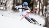 Anna Swenn-Larsson of Sweden skiing in the first run of the women slalom race of Audi FIS Alpine skiing World cup on Sljeme above Zagreb, Croatia. Women Snow Queen Trophy slalom race of Audi FIS Alpine skiing World cup season 2014-2015, was held on Sunday, 4th of January 2015 on Sljeme above Zagreb, Croatia.
