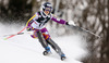 Nina Loeseth of Norway skiing in the first run of the women slalom race of Audi FIS Alpine skiing World cup on Sljeme above Zagreb, Croatia. Women Snow Queen Trophy slalom race of Audi FIS Alpine skiing World cup season 2014-2015, was held on Sunday, 4th of January 2015 on Sljeme above Zagreb, Croatia.
