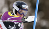 Nina Loeseth of Norway skiing in the first run of the women slalom race of Audi FIS Alpine skiing World cup on Sljeme above Zagreb, Croatia. Women Snow Queen Trophy slalom race of Audi FIS Alpine skiing World cup season 2014-2015, was held on Sunday, 4th of January 2015 on Sljeme above Zagreb, Croatia.
