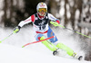 Denise Feierabend of Switzerland skiing in the first run of the women slalom race of Audi FIS Alpine skiing World cup on Sljeme above Zagreb, Croatia. Women Snow Queen Trophy slalom race of Audi FIS Alpine skiing World cup season 2014-2015, was held on Sunday, 4th of January 2015 on Sljeme above Zagreb, Croatia.
