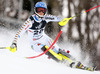 Emelie Wikstroem of Sweden skiing in the first run of the women slalom race of Audi FIS Alpine skiing World cup on Sljeme above Zagreb, Croatia. Women Snow Queen Trophy slalom race of Audi FIS Alpine skiing World cup season 2014-2015, was held on Sunday, 4th of January 2015 on Sljeme above Zagreb, Croatia.
