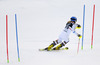 Emelie Wikstroem of Sweden skiing in the first run of the women slalom race of Audi FIS Alpine skiing World cup on Sljeme above Zagreb, Croatia. Women Snow Queen Trophy slalom race of Audi FIS Alpine skiing World cup season 2014-2015, was held on Sunday, 4th of January 2015 on Sljeme above Zagreb, Croatia.
