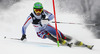  skiing in the first run of the men slalom race of Audi FIS Alpine skiing World cup on Sljeme above Zagreb, Croatia. Men Snow Queen Trophy slalom race of Audi FIS Alpine skiing World cup season 2014-2015, was held on Tuesday, 6th of January 2015 on Sljeme above Zagreb, Croatia.
