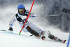 Calle Lindh of Sweden skiing in the first run of the men slalom race of Audi FIS Alpine skiing World cup on Sljeme above Zagreb, Croatia. Men Snow Queen Trophy slalom race of Audi FIS Alpine skiing World cup season 2014-2015, was held on Tuesday, 6th of January 2015 on Sljeme above Zagreb, Croatia.
