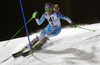 Sarka Strachova of Czech skiing in the first run of the women night slalom race of Audi FIS Alpine skiing World cup Flachau, Austria. Women night slalom race of Audi FIS Alpine skiing World cup season 2014-2015, was held on Tuesday, 13th of January 2015 in Flachau, Austria
