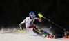 Bernadette Schild of Austria skiing in the first run of the women night slalom race of Audi FIS Alpine skiing World cup Flachau, Austria. Women night slalom race of Audi FIS Alpine skiing World cup season 2014-2015, was held on Tuesday, 13th of January 2015 in Flachau, Austria
