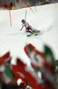 Seventh placed Nicole Hosp of Austria skiing in the second run of the women night slalom race of Audi FIS Alpine skiing World cup Flachau, Austria. Women night slalom race of Audi FIS Alpine skiing World cup season 2014-2015, was held on Tuesday, 13th of January 2015 in Flachau, Austria
