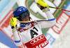 Winner Frida Hansdotter of Sweden reacts in finish of the second run of the women night slalom race of Audi FIS Alpine skiing World cup Flachau, Austria. Women night slalom race of Audi FIS Alpine skiing World cup season 2014-2015, was held on Tuesday, 13th of January 2015 in Flachau, Austria
