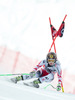 Anna Fenninger of Austria in action during the ladies Downhill of the Cortina FIS Ski Alpine World Cup at the Olympia delle Tofane course in Cortina d Ampezzo, Italy on 2015/01/18.
