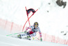 Anna Fenninger of Austria in action during the ladies Downhill of the Cortina FIS Ski Alpine World Cup at the Olympia delle Tofane course in Cortina d Ampezzo, Italy on 2015/01/18.
