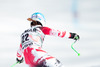 2nd placed Elisabeth Goergl of Austria in action during the ladies Downhill of the Cortina FIS Ski Alpine World Cup at the Olympia delle Tofane course in Cortina d Ampezzo, Italy on 2015/01/18.
