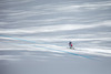 2nd placed Elisabeth Goergl of Austria in action during the ladies Downhill of the Cortina FIS Ski Alpine World Cup at the Olympia delle Tofane course in Cortina d Ampezzo, Italy on 2015/01/18.
