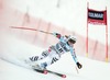 Viktoria Rebensburg of Germany in action during the ladies Downhill of the Cortina FIS Ski Alpine World Cup at the Olympia delle Tofane course in Cortina d Ampezzo, Italy on 2015/01/18.
