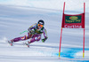 Ragnhild Mowinckel of Norway in action during the ladies SuperG of the Cortina FIS Ski Alpine World Cup at the Olympia delle Tofane course in Cortina d Ampezzo, Italy on 2015/01/19.
