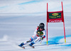 Fabienne Suter of Switzerland in action during the ladies SuperG of the Cortina FIS Ski Alpine World Cup at the Olympia delle Tofane course in Cortina d Ampezzo, Italy on 2015/01/19.
