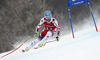 Third placed Georg Streitberger of Austria skiing in the men super-g race of Audi FIS Alpine skiing World cup in Kitzbuehel, Austria. Men super-g race of Audi FIS Alpine skiing World cup season 2014-2015, was held on Friday, 23rd of January 2015 on Hahnenkamm course in Kitzbuehel, Austria
